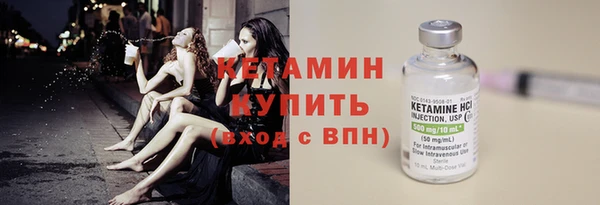 индика Ельня