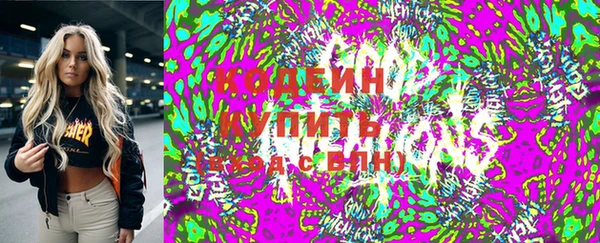 бошки Алексин