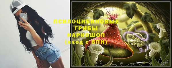 крисы Абаза